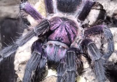 IMG_20240218_194554_333